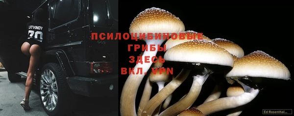 амф Семилуки