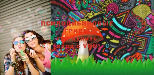 хмурый Алексеевка