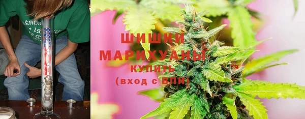 СК Аркадак