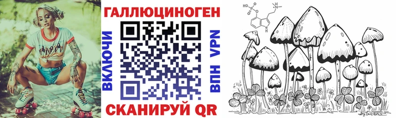 Галлюциногенные грибы Psilocybe  Краснотурьинск 